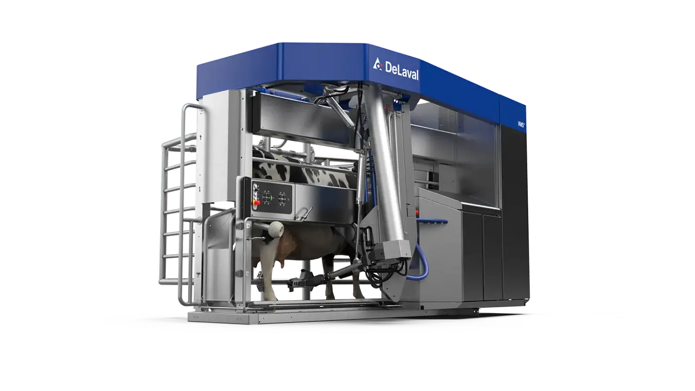 Przegląd i serwis sezonowy